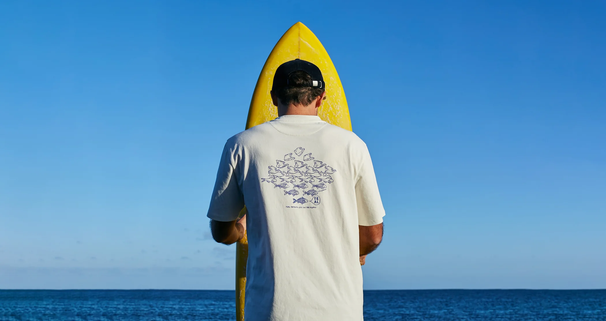 Liechtenstein Bankers Association, Teal Project, rrreefs and DynamicElement cooperate to protect the oceans